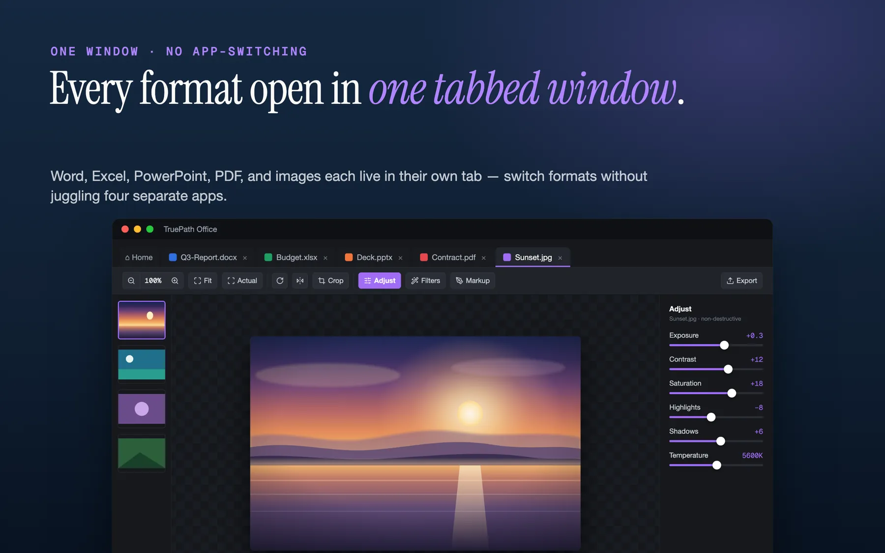 One window with Word, Excel, PowerPoint, PDF, and image files open as tabs in TruePath Office